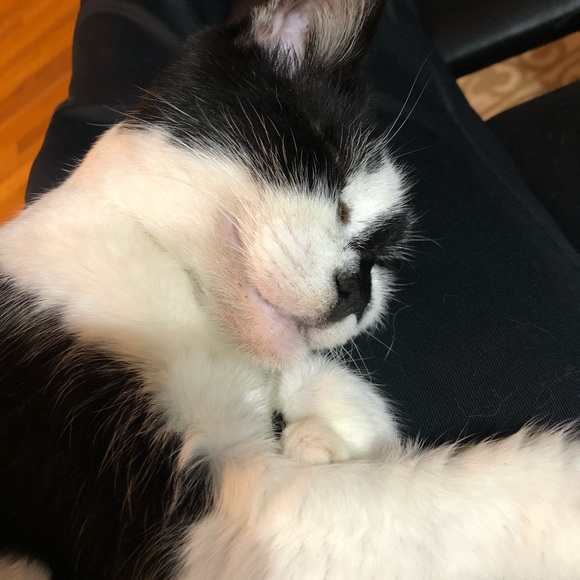 Meet your Posher, Meg - Picture 3 of 7